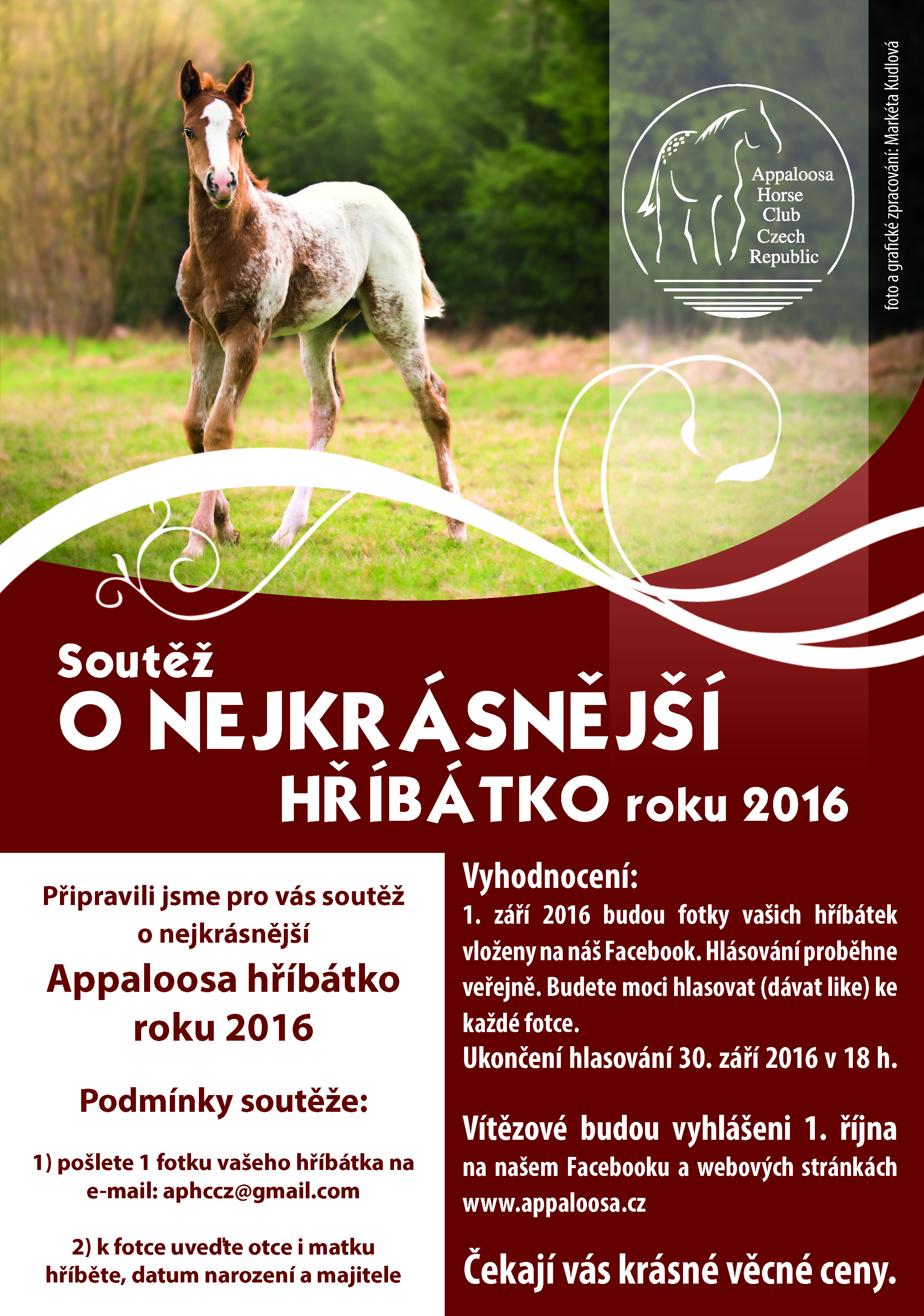 soutez hribe 2016